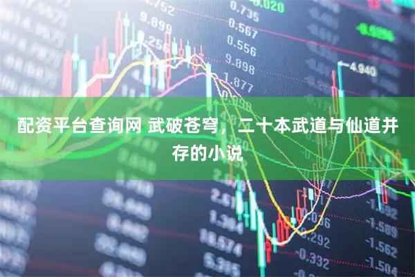 配资平台查询网 武破苍穹，二十本武道与仙道并存的小说